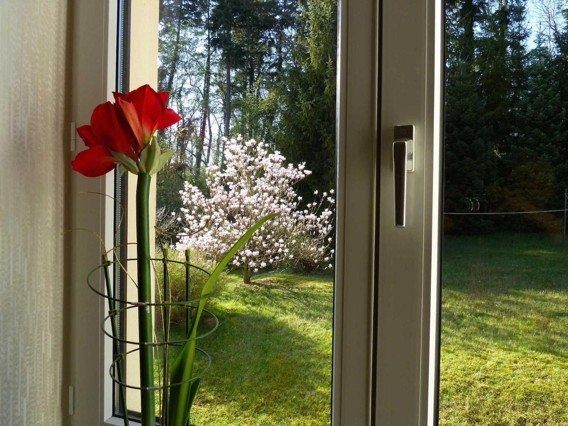 Ferienwohnung Villa Am Haussee Фельдберг Экстерьер фото